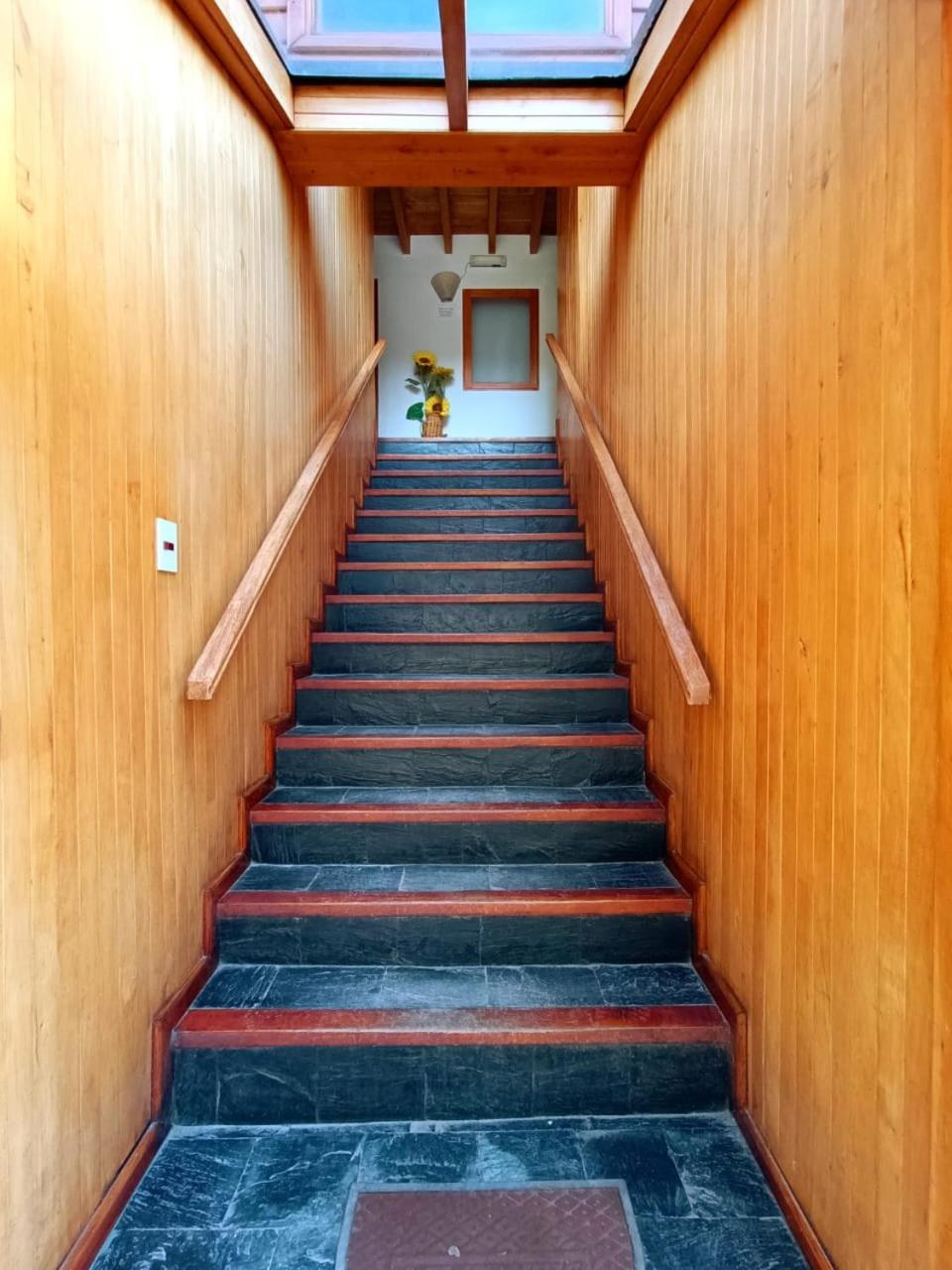 Apart Hotel Del Pellin San Martín de los Andes 外观 照片